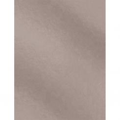 Cartulina Campus 50X65 Metal Plata