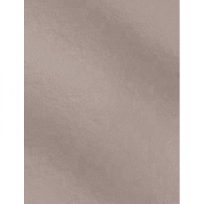 cartulina-campus-50x65-metal-plata