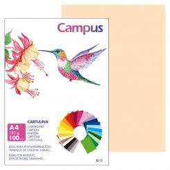 Cartulina Campus A4 180G Crema