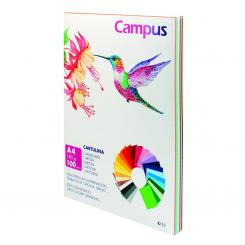 Cartulina Campus A4 180G Surtido / 100 Uds