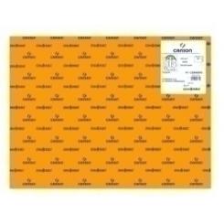 Cartulina Fluor 50X65 Cm Iris 250G Naranja Paquete De 25