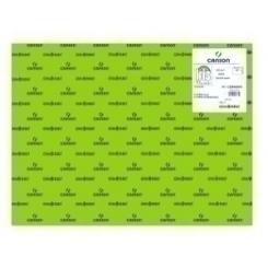 Cartulina Fluor 50X65 Cm Iris 250G Verde Paquete De 25