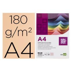 Cartulina LIDERPAPEL A4 180g/m2 salmon paquete de 100 hojas