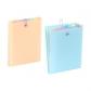clasificador-acordeon-viquel-rainbow-pastel-pp-opaco-a4-6-dptos-vertical-cierre-elastico-boton-interior-multicolor-exterior-2-colores-surtidos