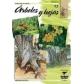 cuaderno-leonardo-45-arboles-y-hojas