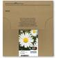 epson-18-daisy-standard-multipack-in-easy-mail-packaging