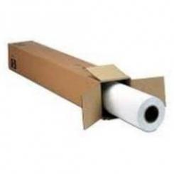 Epson GF Papel Crystal CLear FILM, 17 X 30.5M, 120G