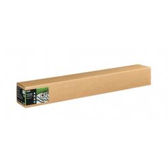 EPSON GF Papel Fine Art Cotton Smooth Bright II, 44