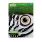 epson-gf-papel-fine-art-cotton-smooth-bright-ii-a2-25-sheets