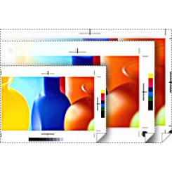 Epson GF Papel Proofing Publication, 17 X 30.5M, 198G