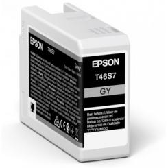 Epson Singlepack Gray T46S7 Ultrachrome Pro 10 ink 25ml SC-P700