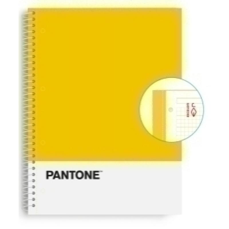 escolofi-block-escolpantone-a4-basic-80h-5x5-am