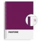 escolofi-block-escolpantone-a4-basic-80h-5x5-vl