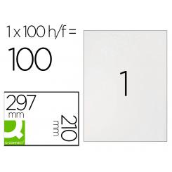 Etiqueta adhesiva Q-CONNECT kf10664 tamaño 210x297 mm fotocopiadora laser ink-jet caja con 100 hojas DIN A4