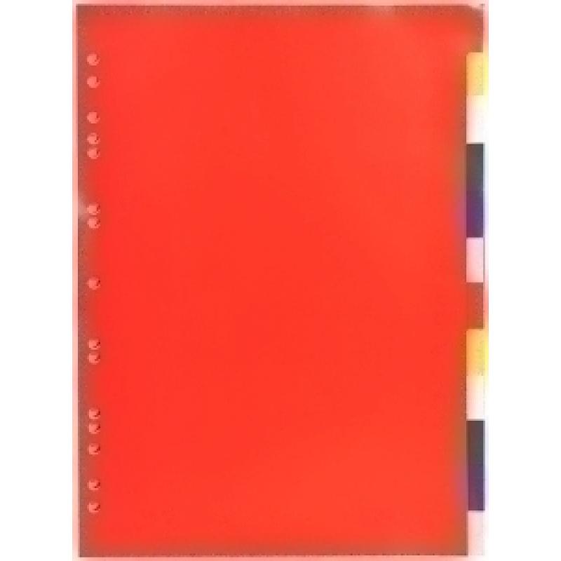 exacompta-separadores-exacompta-pp-flexible-opaco-a4-12-pestanas-11-taladros