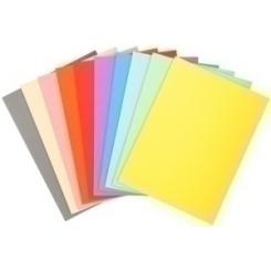 Exacompta Subcarpeta Exacompta Forever 180 170G A4 Surtido Paquete De 100