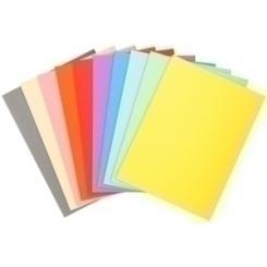 Exacompta Subcarpeta Exacompta Forever 220 220G A4 Surtido Paquete De 100