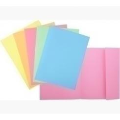 Exacompta Subcarpeta Exacompta Super 160 1 Solapa 160G A4 Surtido Paquete De 100