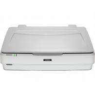 Epson Expression 13000XL Escáner de cama plana 2400 x 4800 DPI A3 Blanco