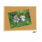 faibo-tableros-de-corcho-adherente-40-x-60