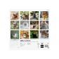 finocam-calendario-2025-internacional-pared-imagenes-mensual-para-escribir-180x180-cats