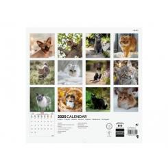 FINOCAM Calendario (2025) Internacional pared imágenes mensual para escribir 180X180 Cats