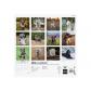 finocam-calendario-2025-internacional-pared-imagenes-mensual-para-escribir-300x300-dogs