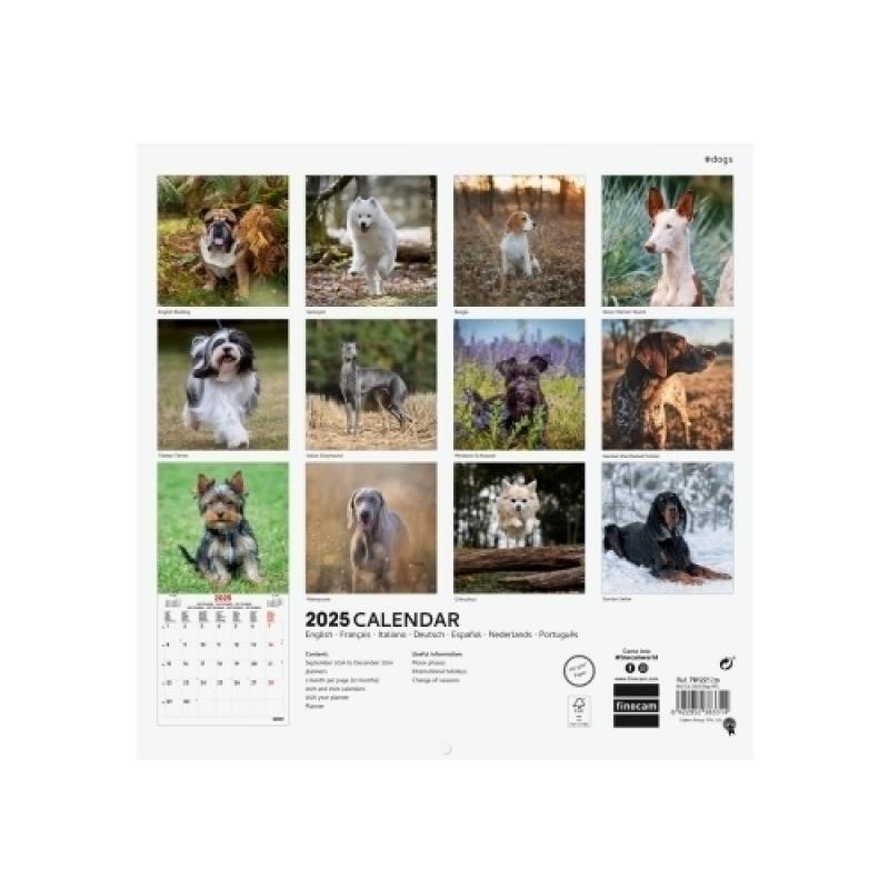 finocam-calendario-2025-internacional-pared-imagenes-mensual-para-escribir-300x300-dogs