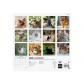 finocam-calendario-2025-internacional-pared-mensual-para-escribir-300x300-cats