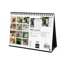 FINOCAM Calendario (2025) Internacional Sobremesa imágenes mensual para escribir S 210X150 Cats