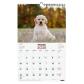 finocam-calendario-2025-pared-espiral-imagenes-mensual-para-escribir-250x400-cachorros