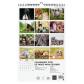 finocam-calendario-2025-pared-espiral-imagenes-mensual-para-escribir-250x400-perros-y-gatos