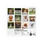 finocam-calendario-2025-pared-imagenes-mensual-para-escribir-300x300-cachorros