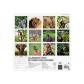 finocam-calendario-2025-pared-imagenes-mensual-para-escribir-300x300-fauna-salvaje