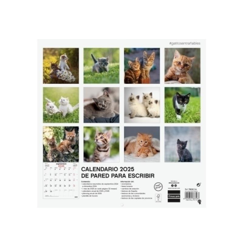 finocam-calendario-2025-pared-imagenes-mensual-para-escribir-300x300-gatitos
