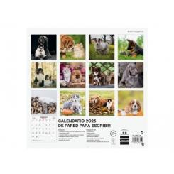 FINOCAM Calendario (2025) pared imágenes mensual para escribir 300X300 Perros Y Gatos