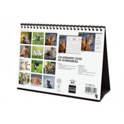 FINOCAM Calendario (2025) Sobremesa imágenes mensual para escribir S 210X150 Gatitos