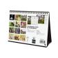 finocam-calendario-2025-sobremesa-imagenes-mensual-para-escribir-s-210x150-perros-y-gatos
