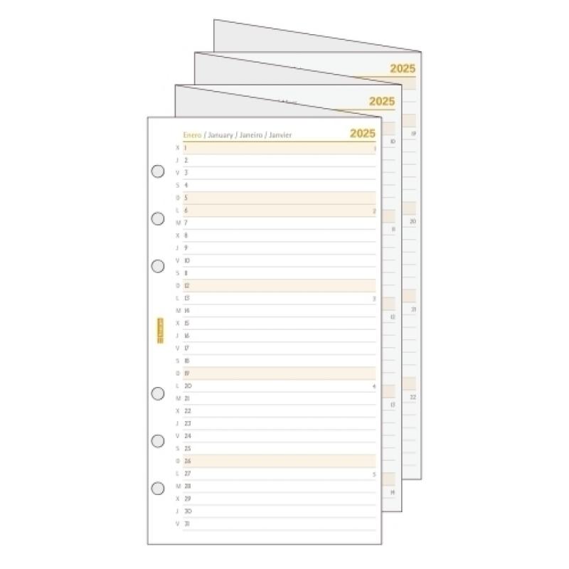 finocam-recambio-agenda-anual-2025-c996-classic-609-94x171-planificador-desplegable-anualidad