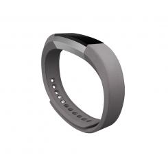 Fitbit FB158LBGPS Accesorios para dispositivos vestibles inteligentes Grupo de rock Grafito Cuero, Acero inoxidable
