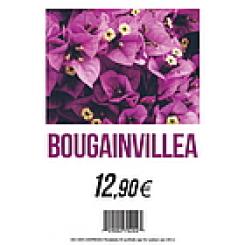 FLORALABELS A5 148 x 210 mm Carteles impermeables, calidad FLORALABELS L1 OKIMED64