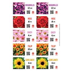FLORALABELS Etiqueta autoadhesiva 97,5 x 57 mm, 10 por hoja OKIMED31