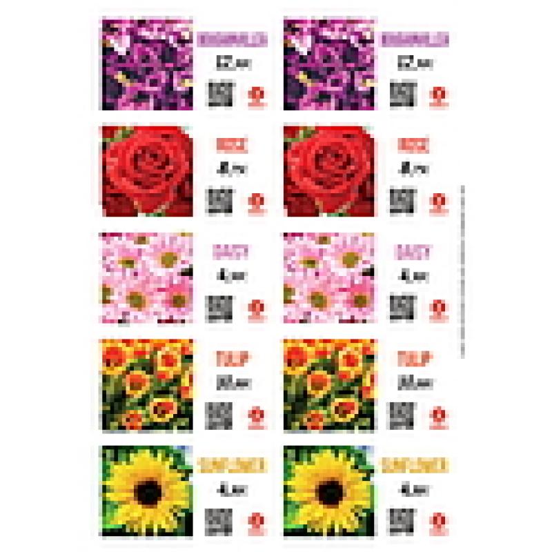 floralabels-etiqueta-autoadhesiva-975-x-57-mm-10-por-hoja-okimed31