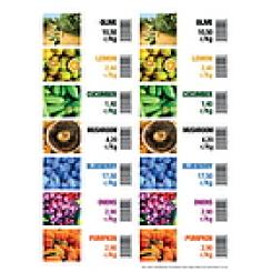 FLORALABELS Etiquetas de borde de estanteria 105 x 38 mm, 14 por hoja OKIMED30