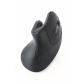 gembird-musw-ergo-03-raton-hogar-mano-derecha-rf-inalambrico-optico-1600-dpi
