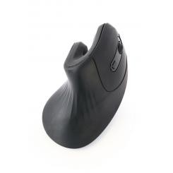 Gembird MUSW-ERGO-03 ratón Hogar mano derecha RF inalámbrico Óptico 1600 DPI