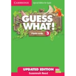 GUESS WHAT 3 FLASHCARDS CAMBRIDGE