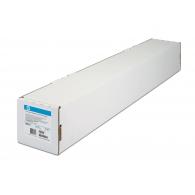 HP Papel Professional satinado photo 300G/M2
