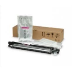 HP Unidad de revelado Color LaserJet 8JM73A para magenta
