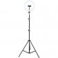 iggual-igg317235-tripode-sistema-de-iluminacion-3-patas-negro